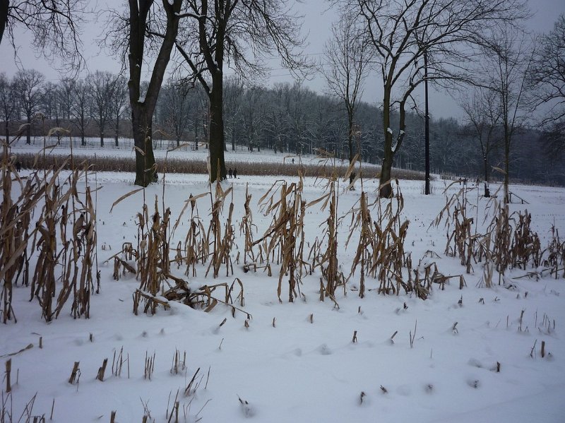 hon_konopiste (63).jpg